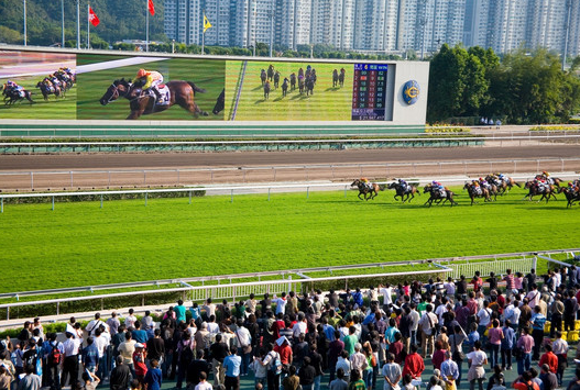 赛马 | 香港马会将投入1.4亿，以降低马主养马成本！