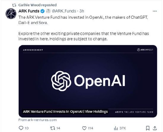“木头姐”宣布投资OpenAI