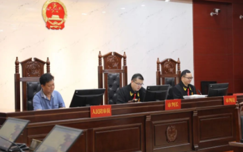 “杀猪盘”套路！广西贵港法院公开开庭审理一起在马来西亚的跨境电信网络诈骗案