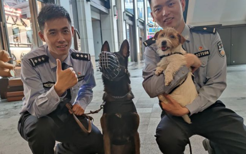 上海警方抖音直播反诈 网红警犬“椰SIR”在线营业